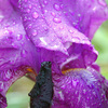 Dsc_0042_edited-5_thumb