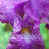 Dsc_0043_edited-5_thumb
