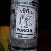 100_8378_card