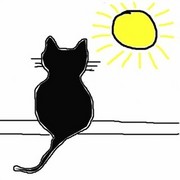 Cat3_card