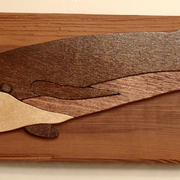 Blue_whale_1_card