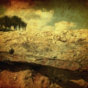 Rock_card