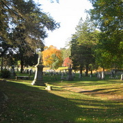 7954614_card
