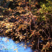 Leaves_and_stream_painting_card
