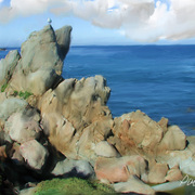 Lover_s_point_with_gull_card