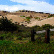 Marina_dunes_painting_card