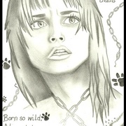 Wild_card