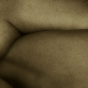 Body_parts3_card