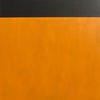 48_orange_and_black_1_thumb