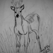 Dscn2186_card