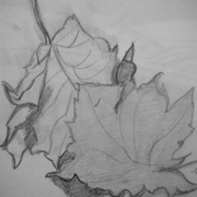 Dscn2187_card
