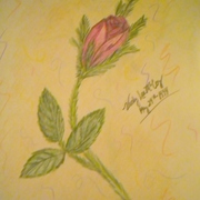 Dscn2192_card