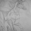 Dscn2198_thumb