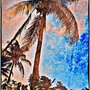 Palm2_card