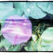 Runaway_card