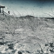 Lifegaurd_card