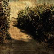 Walkway_card