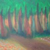 Popular_summer_maples_thumb