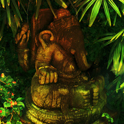 Jungleidol_copysmall_card