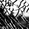 Shattered_glass_thumb