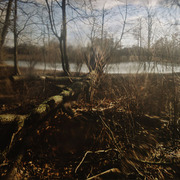 0277_card