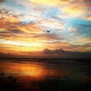 Spring_break_2012_235_card