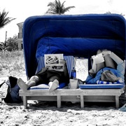Blue_card