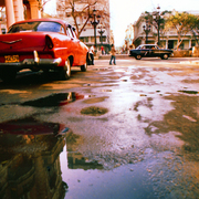 Callerefugio2_card