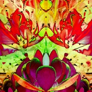 _lotusdreams_card