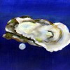 Pearl_of_giving_thumb