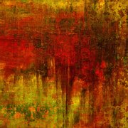 528740_10150583977722644_695997643_8656140_337226075_n_card