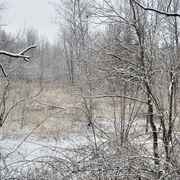 Winter_has_a_cold_card