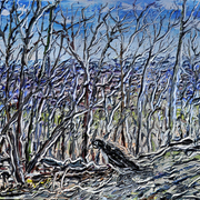 Bird_s_eye_view_ii_card