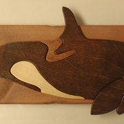 Killer_whale_2_card