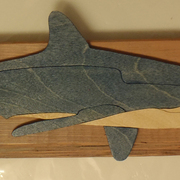 Shark_2_card