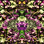 1flowe_card
