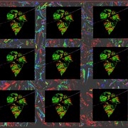 Solarized_many_birds_card