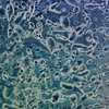 Micro_organism_by_gorgeousbrutality-d409kl4_thumb