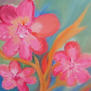 Sam_4728_card