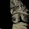 Paint4_thumb
