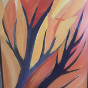 Sam_4722_card