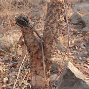 National_park_003_card