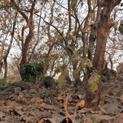National_park_025_card