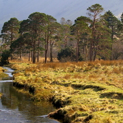 Imgp9245_card