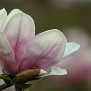 024031612a_card