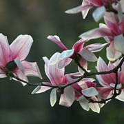 032031612b_card