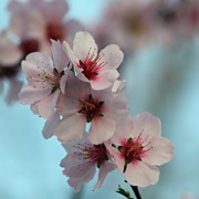 044031612d__card