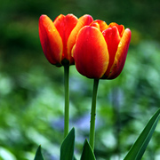 071032412a_card