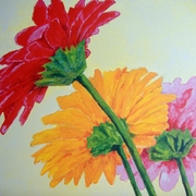 11-gerberas_card