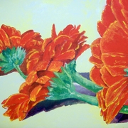 12-gerberas_card